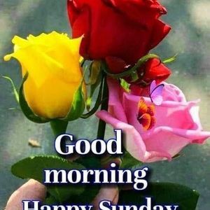 Meet your Posher, Lhonie